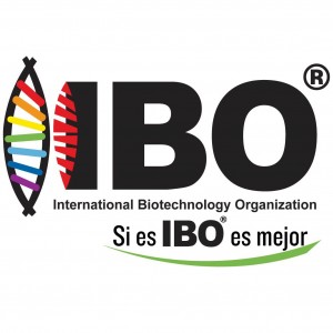 Grupo IBO