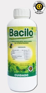 Bacilo