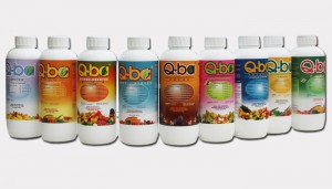 Línea Q-BA